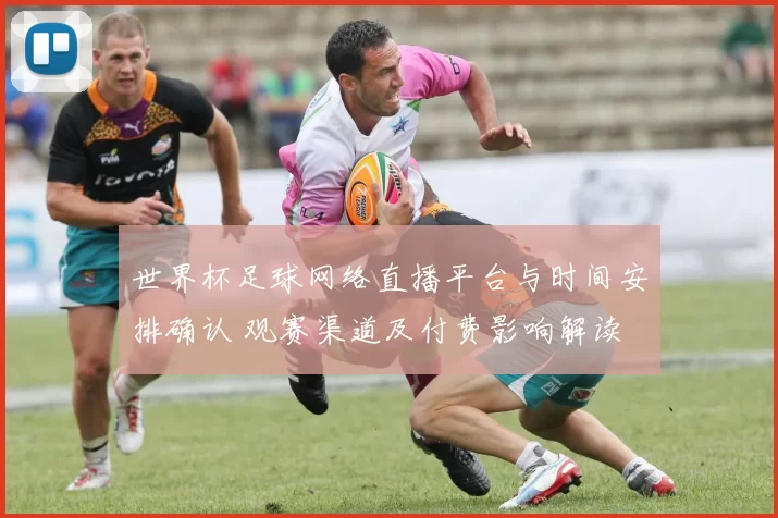 世界杯足球网络直播平台与时间安排确认 观赛渠道及付费影响解读