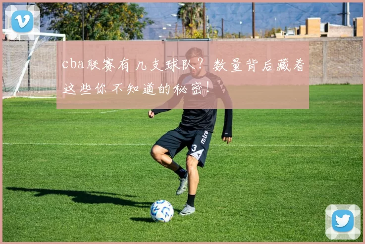 cba联赛有几支球队？数量背后藏着这些你不知道的秘密！