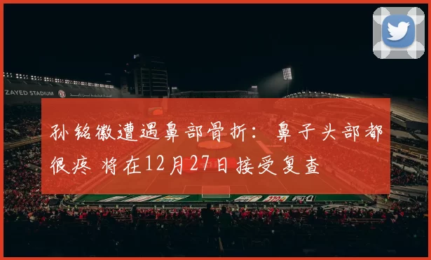 孙铭徽遭遇鼻部骨折：鼻子头部都很疼 将在12月27日接受复查