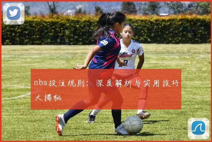 nba投注规则：深度解析与实用技巧大揭秘