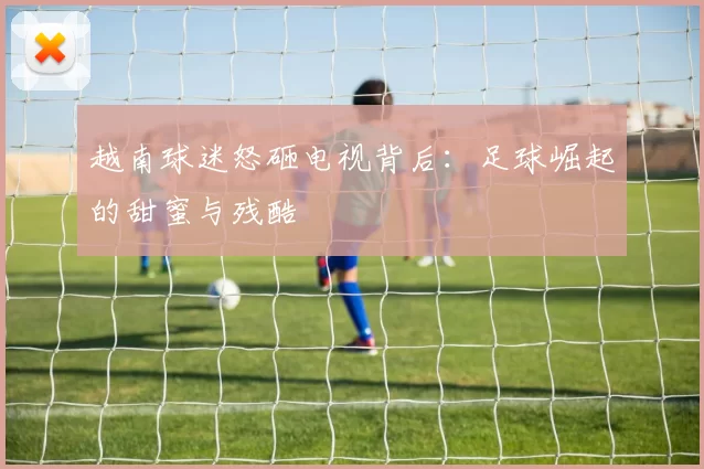 越南球迷怒砸电视背后：足球崛起的甜蜜与残酷