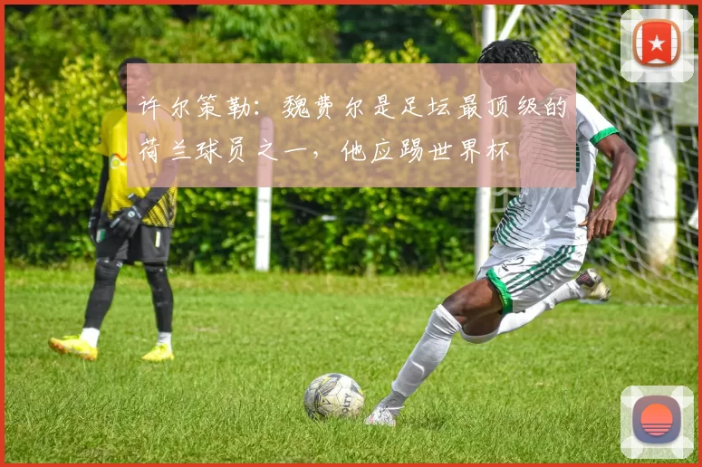 许尔策勒：魏费尔是足坛最顶级的荷兰球员之一，他应踢世界杯