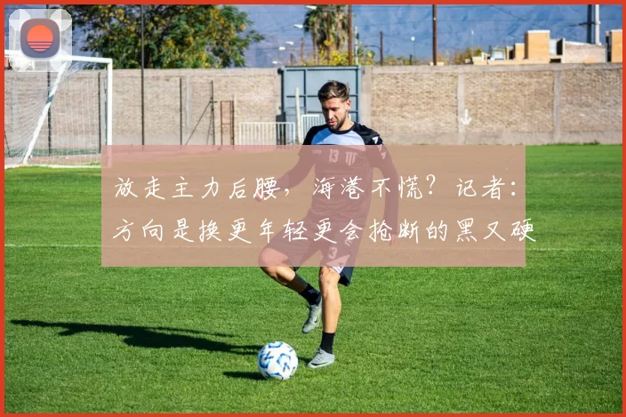 放走主力后腰，海港不慌？记者：方向是换更年轻更会抢断的黑又硬