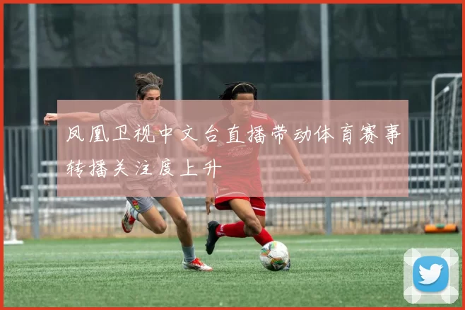 凤凰卫视中文台直播带动体育赛事转播关注度上升