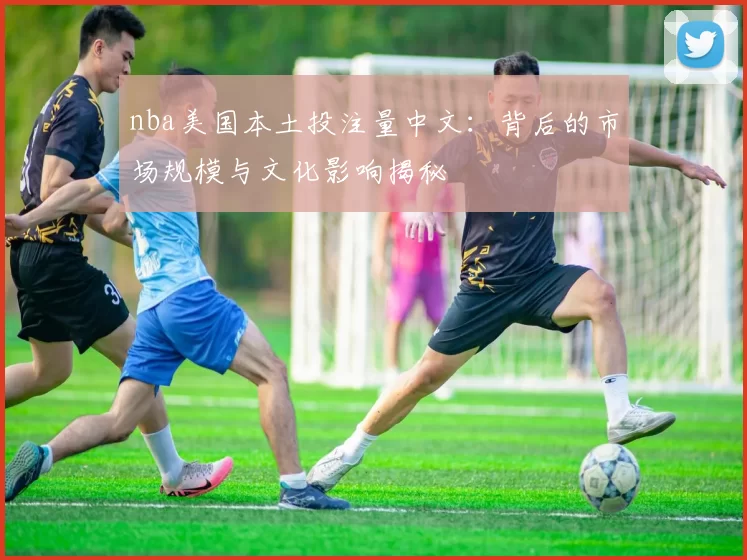 nba美国本土投注量中文：背后的市场规模与文化影响揭秘