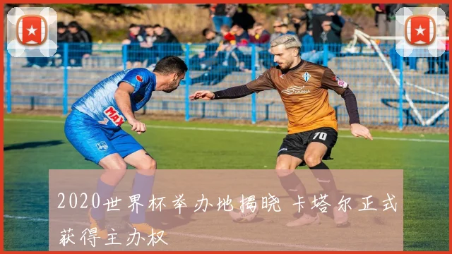 2020世界杯举办地揭晓 卡塔尔正式获得主办权