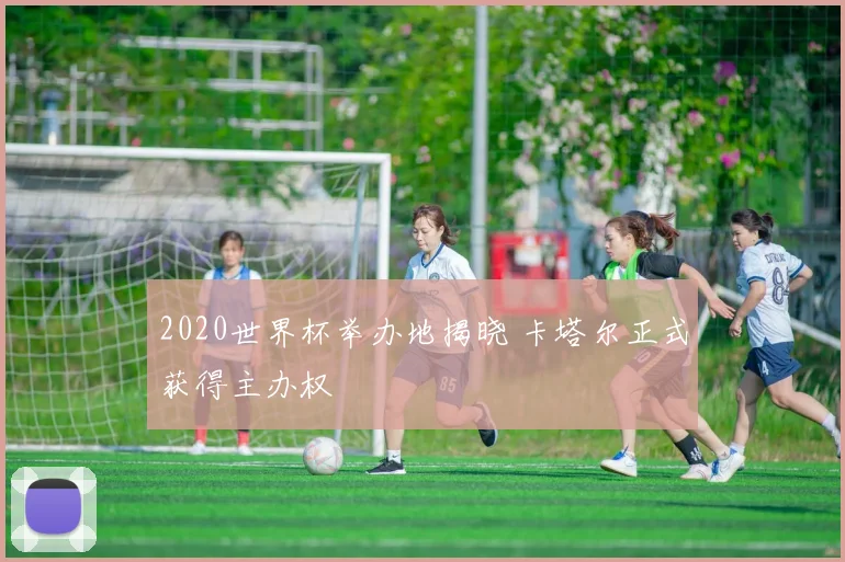 2020世界杯举办地揭晓 卡塔尔正式获得主办权