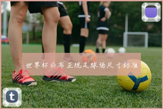 世界杯公布正规足球场尺寸标准