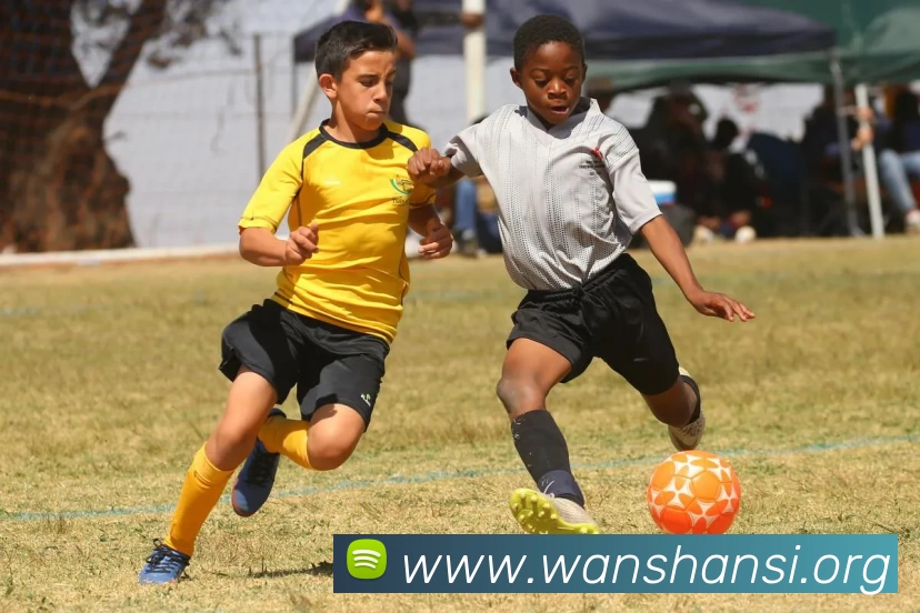 半岛网页版·网站入口 - 半岛online(中国)平台生态图